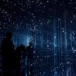 Robynne hu horhcnqsxnq unsplash